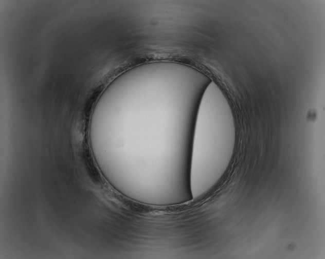 X0000101400691200807071030