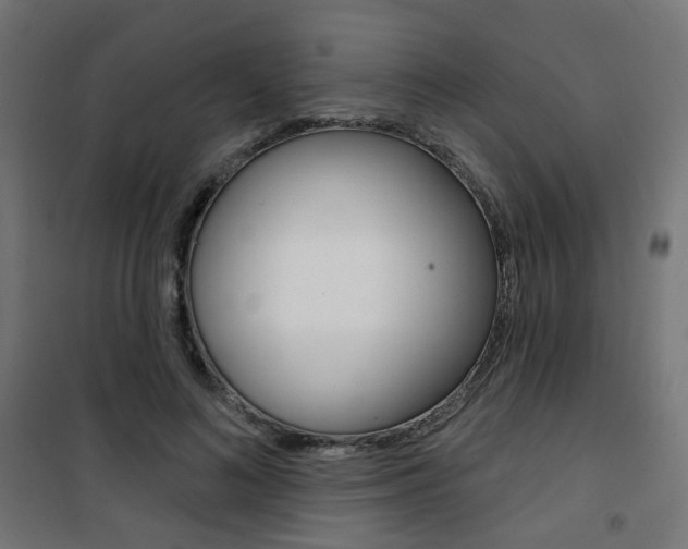 X0000101400692200807071030