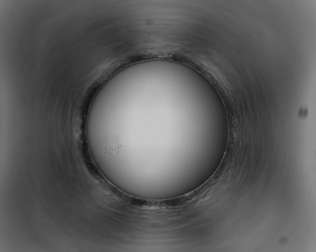 X0000101400693200807071030