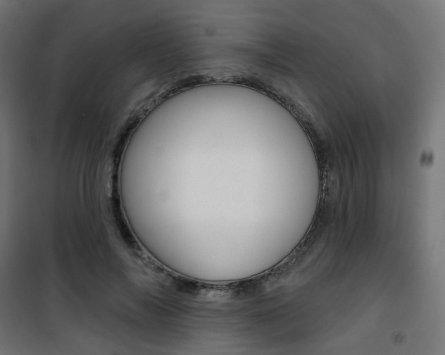 X0000101400694200807071030
