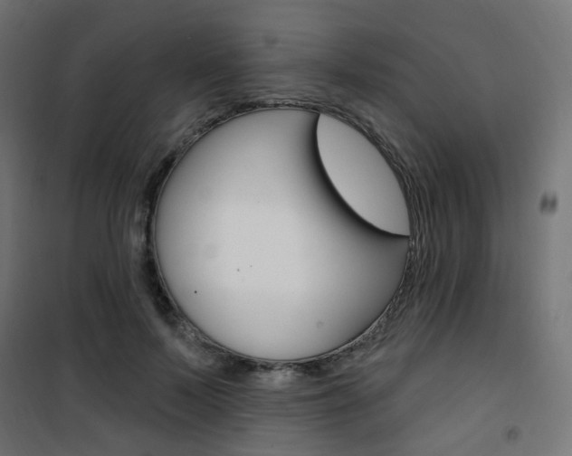 X0000101400695200807071030