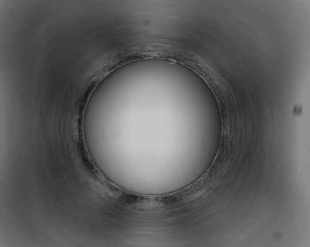 X0000101400696200807071030