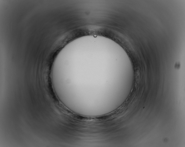 X0000101400698200807071030