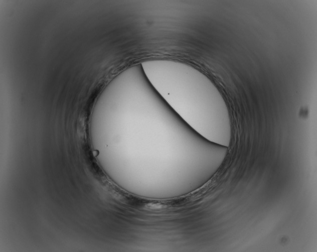 X0000101400699200807071030