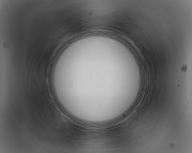 X0000101400701200807071030