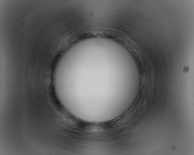 X0000101400702200807071030
