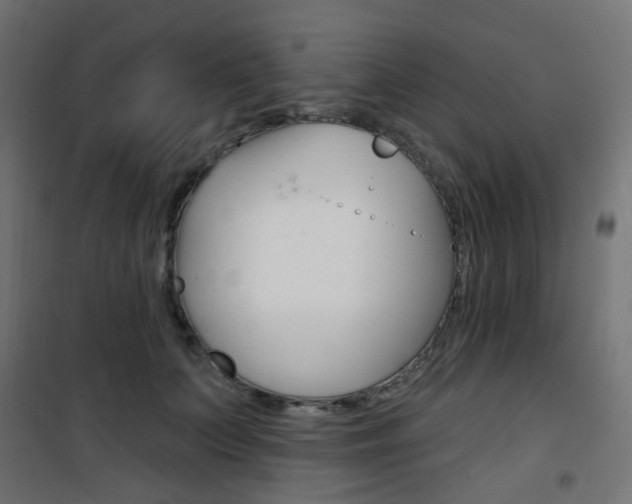 X0000101400703200807071030
