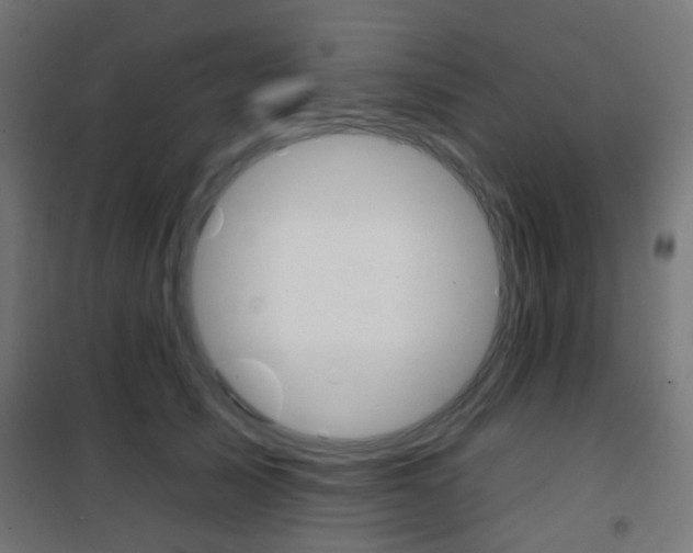 X0000101400705200807071030