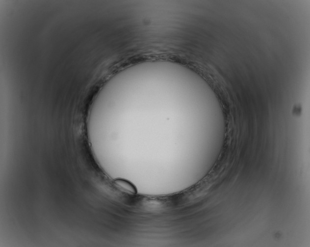 X0000101400706200807071030
