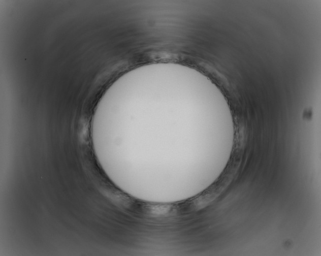 X0000101400709200807071030