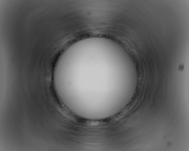 X0000101400710200807071030