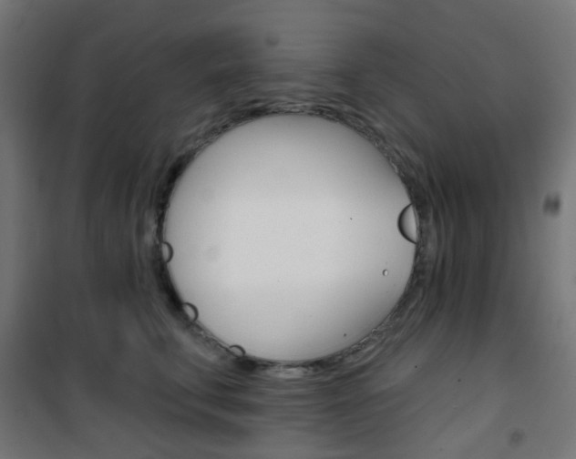 X0000101400711200807071030