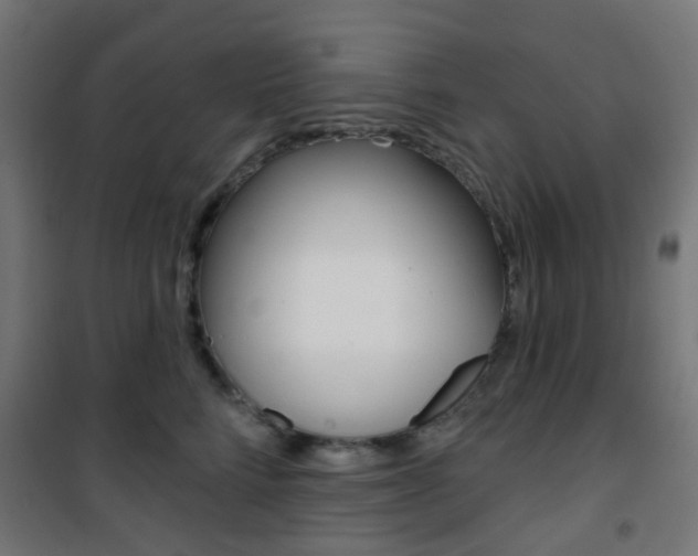 X0000101400712200807071030