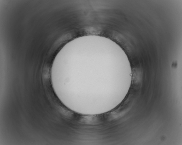 X0000101400713200807071030