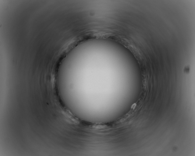 X0000101400716200807071030