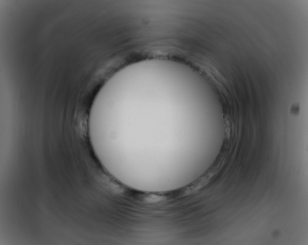 X0000101400718200807071030