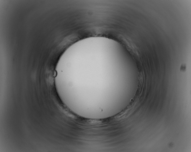 X0000101400719200807071030