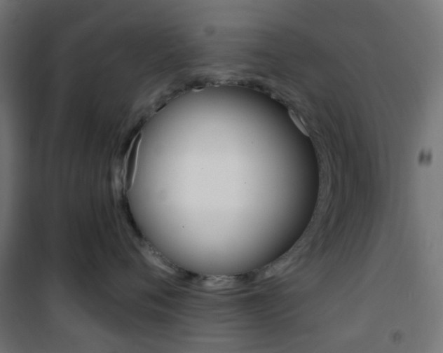 X0000101400720200807071030