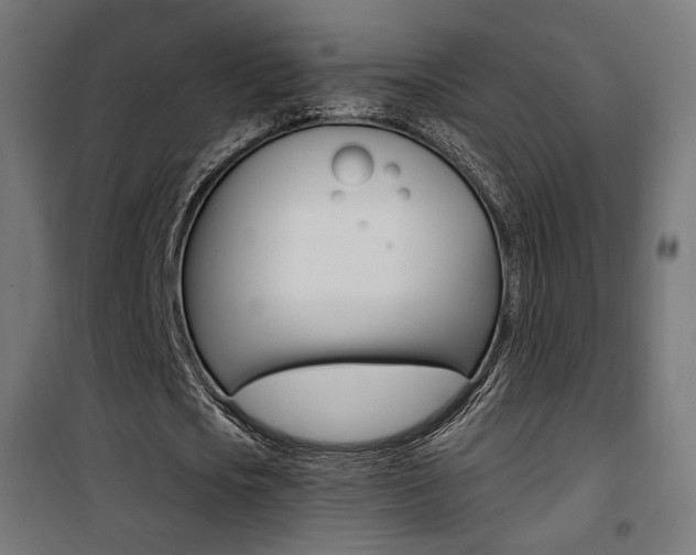 X0000101400721200807071029