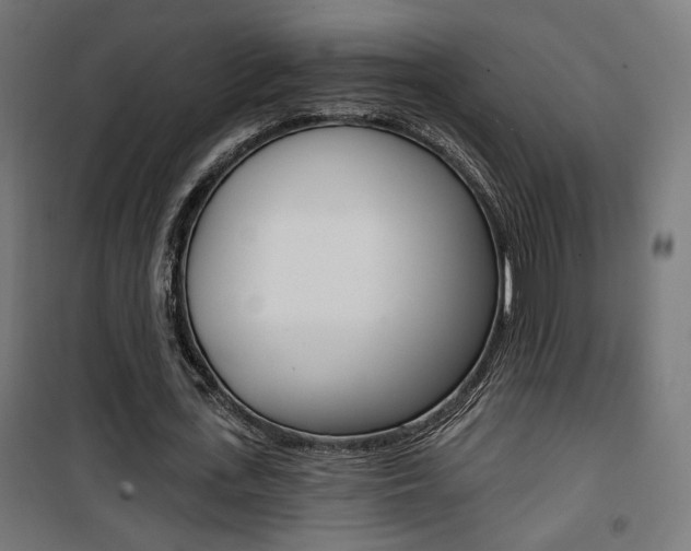 X0000101400723200807071029
