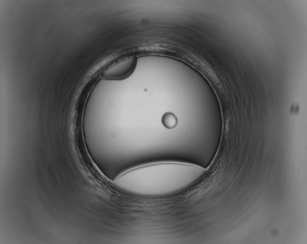 X0000101400724200807071029