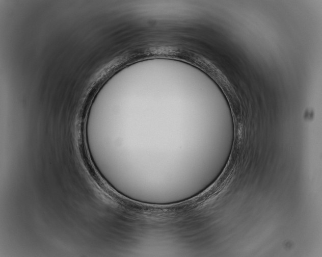 X0000101400725200807071029