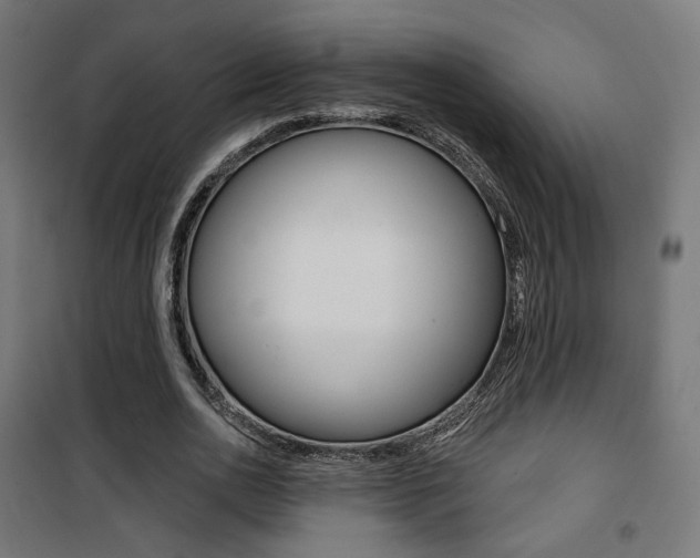 X0000101400726200807071029