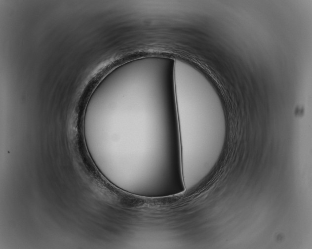 X0000101400727200807071029