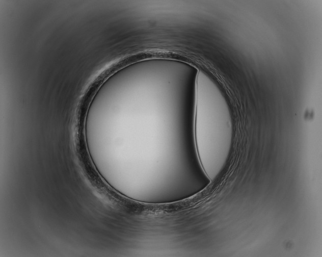 X0000101400728200807071029