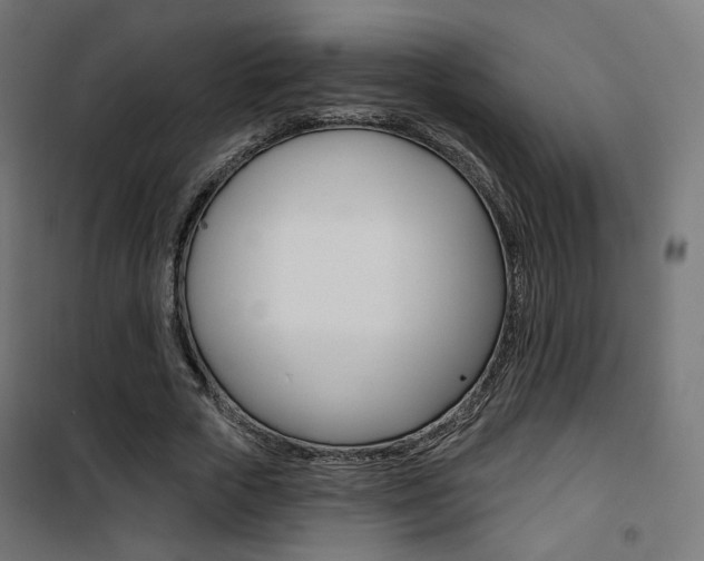 X0000101400729200807071029