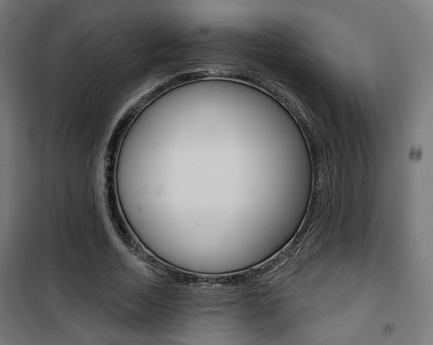 X0000101400730200807071029