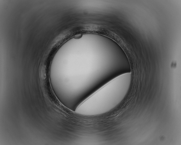 X0000101400731200807071029