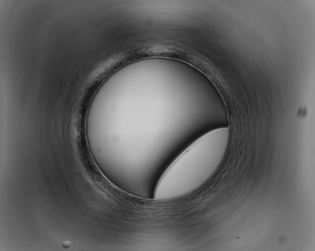 X0000101400732200807071029