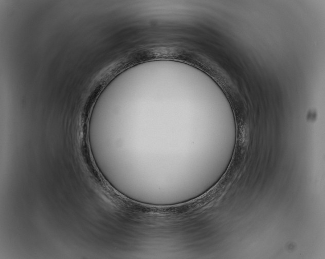 X0000101400733200807071029