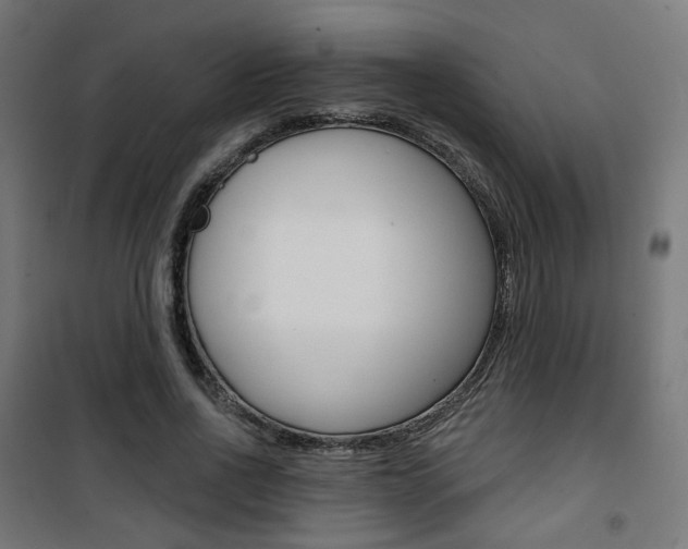 X0000101400734200807071029