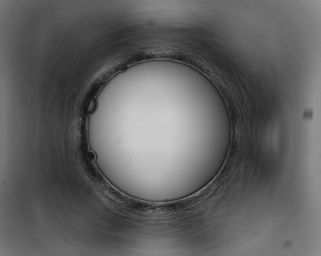 X0000101400735200807071029