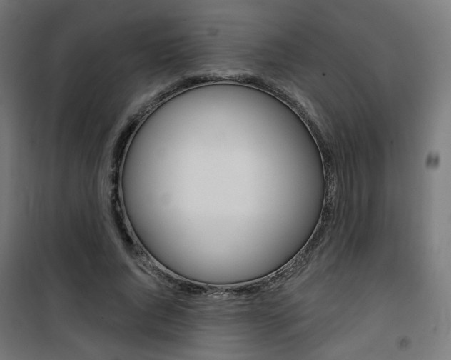 X0000101400736200807071029