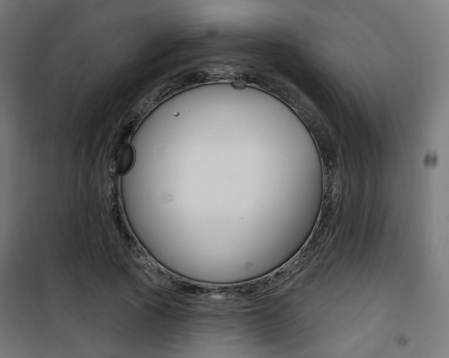 X0000101400737200807071029