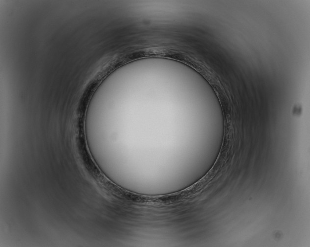X0000101400738200807071029