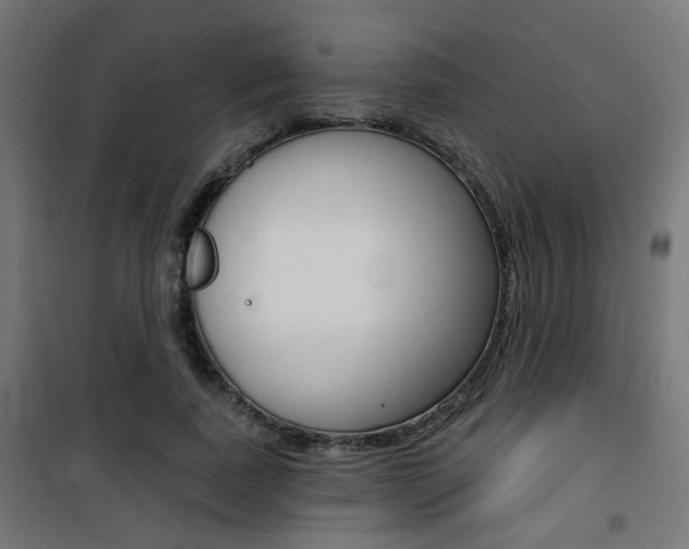 X0000101400739200807071029