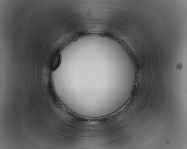 X0000101400741200807071029