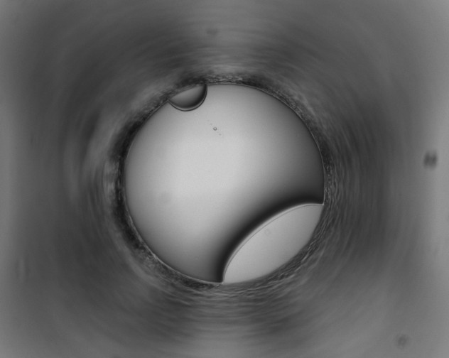X0000101400742200807071029