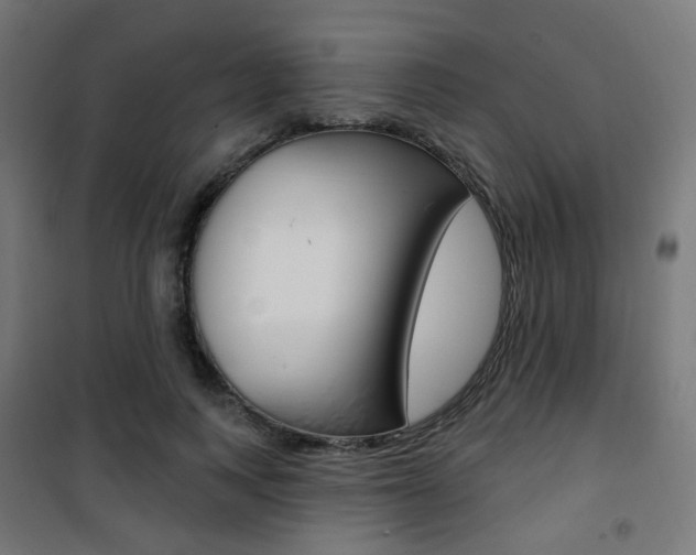 X0000101400743200807071029