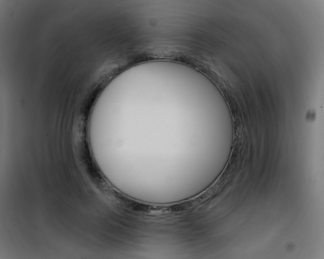 X0000101400744200807071029