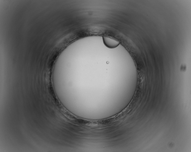 X0000101400745200807071029