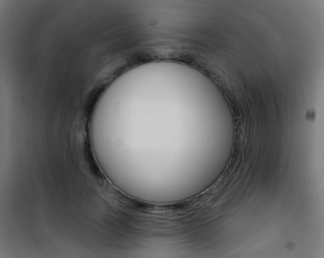 X0000101400746200807071029