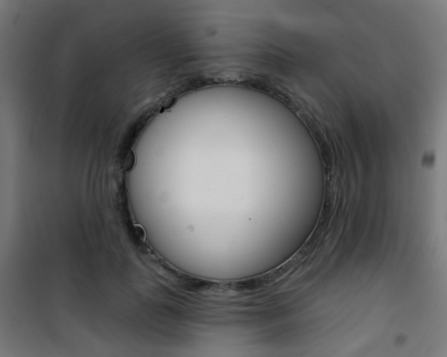 X0000101400747200807071029