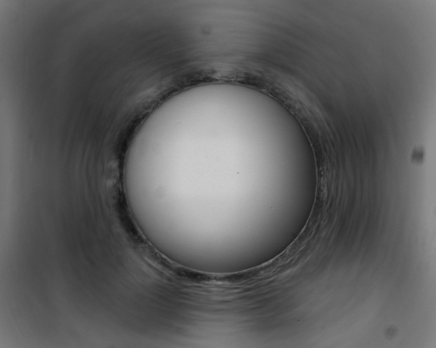 X0000101400748200807071029