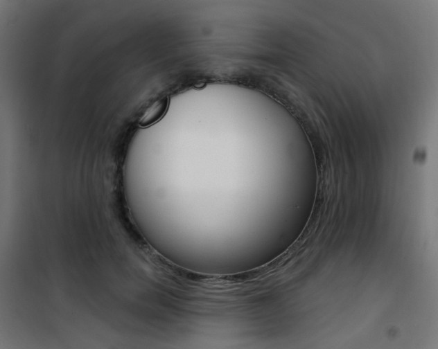 X0000101400750200807071029