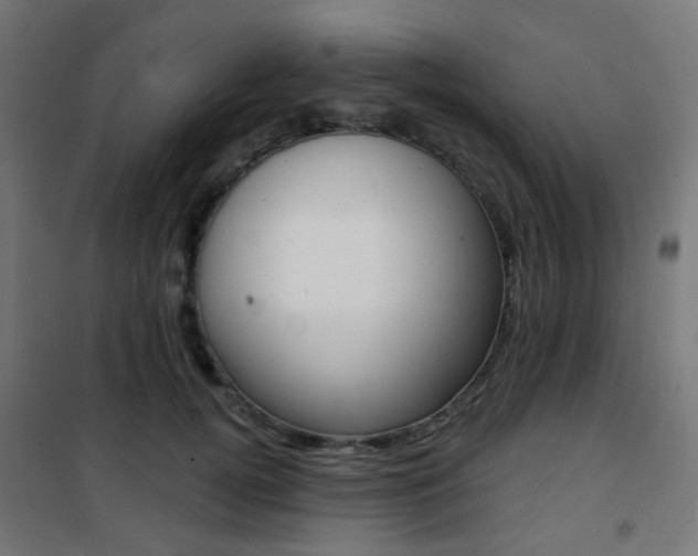 X0000101400752200807071029